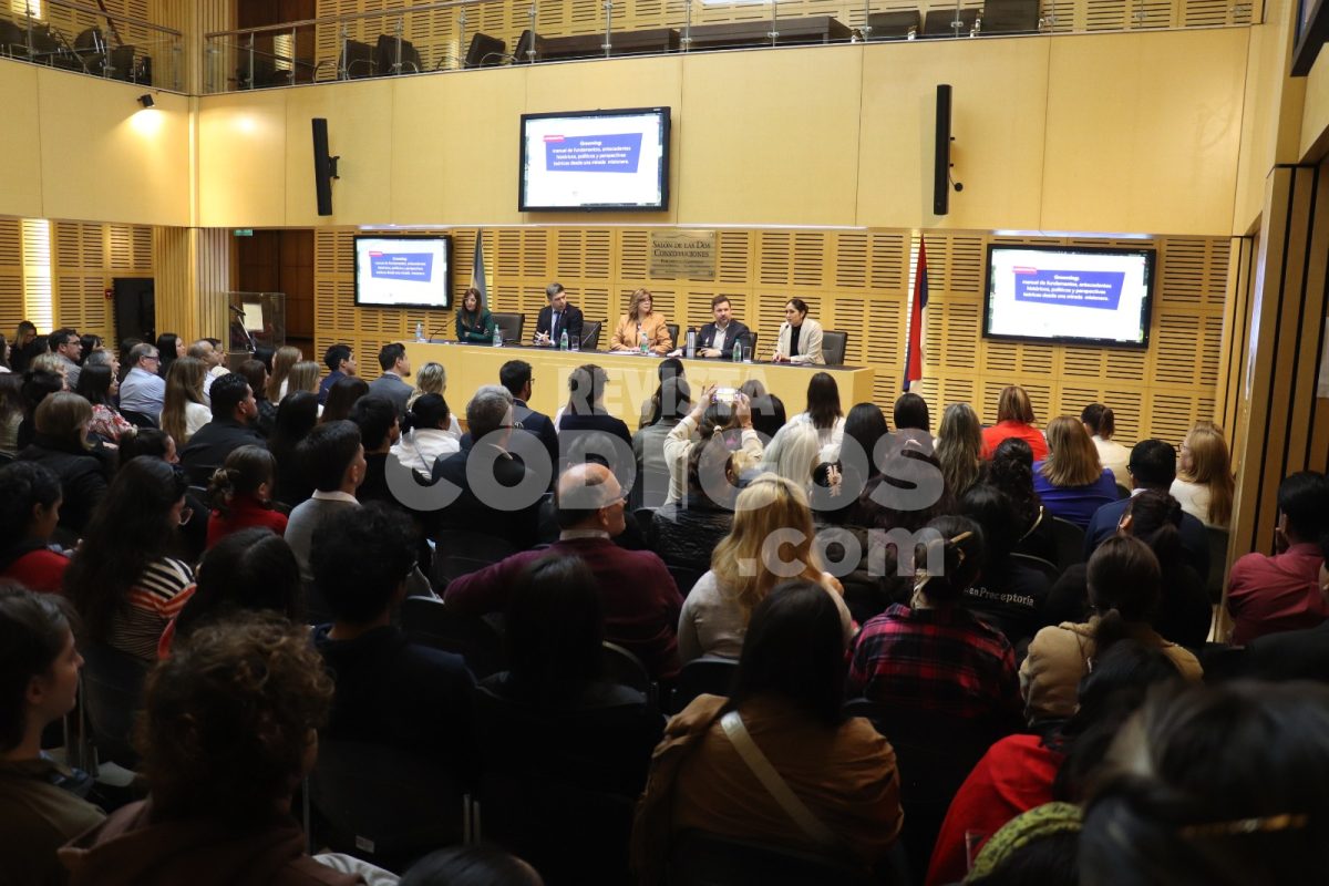 Lanzaron en la Legislatura un manual para prevenir casos de Grooming en Misiones