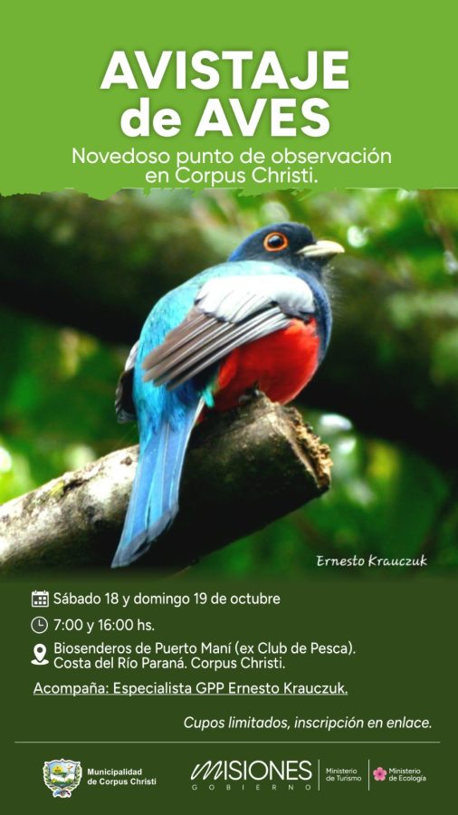 Corpus será escenario de observación de aves este sábado y domingo 1 2 - observacion de aves 2 - 1