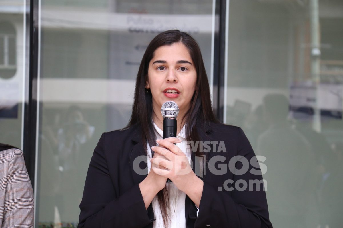 presentacion piip puerto y silicon 3 - 5
