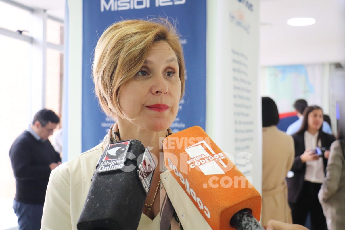 presentacion piip puerto y silicon 9 - 17