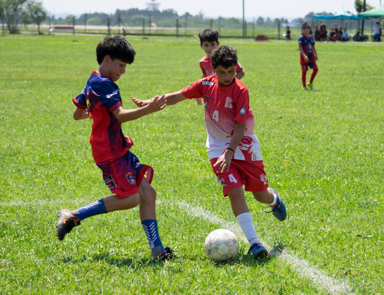 torneo infantil 7 - 11