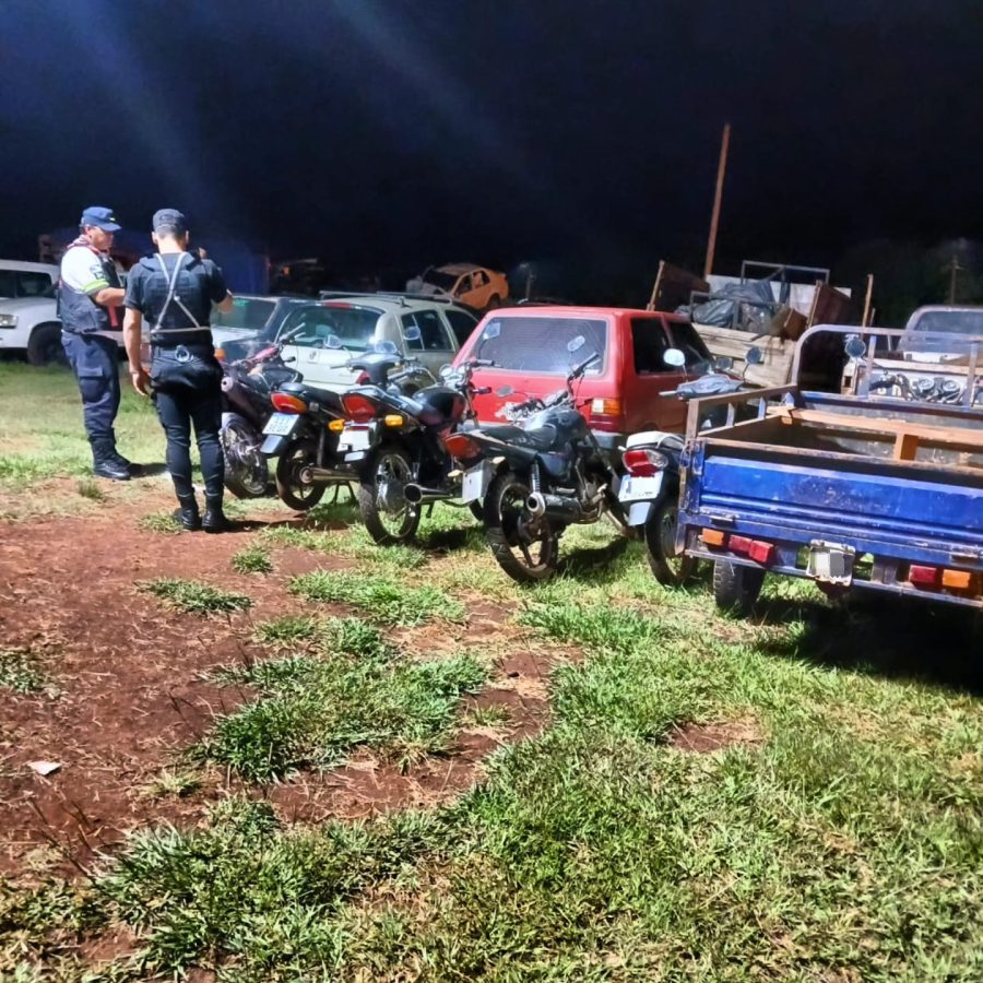 Casi 40 detenidos y 100 vehiculos incautados tras operativos policiales en Misiones 5 - 3