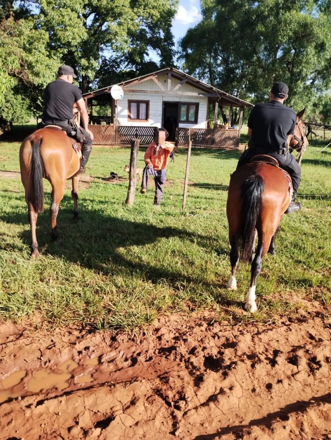 Casi 40 detenidos y 100 vehiculos incautados tras operativos policiales en Misiones 6 - 1