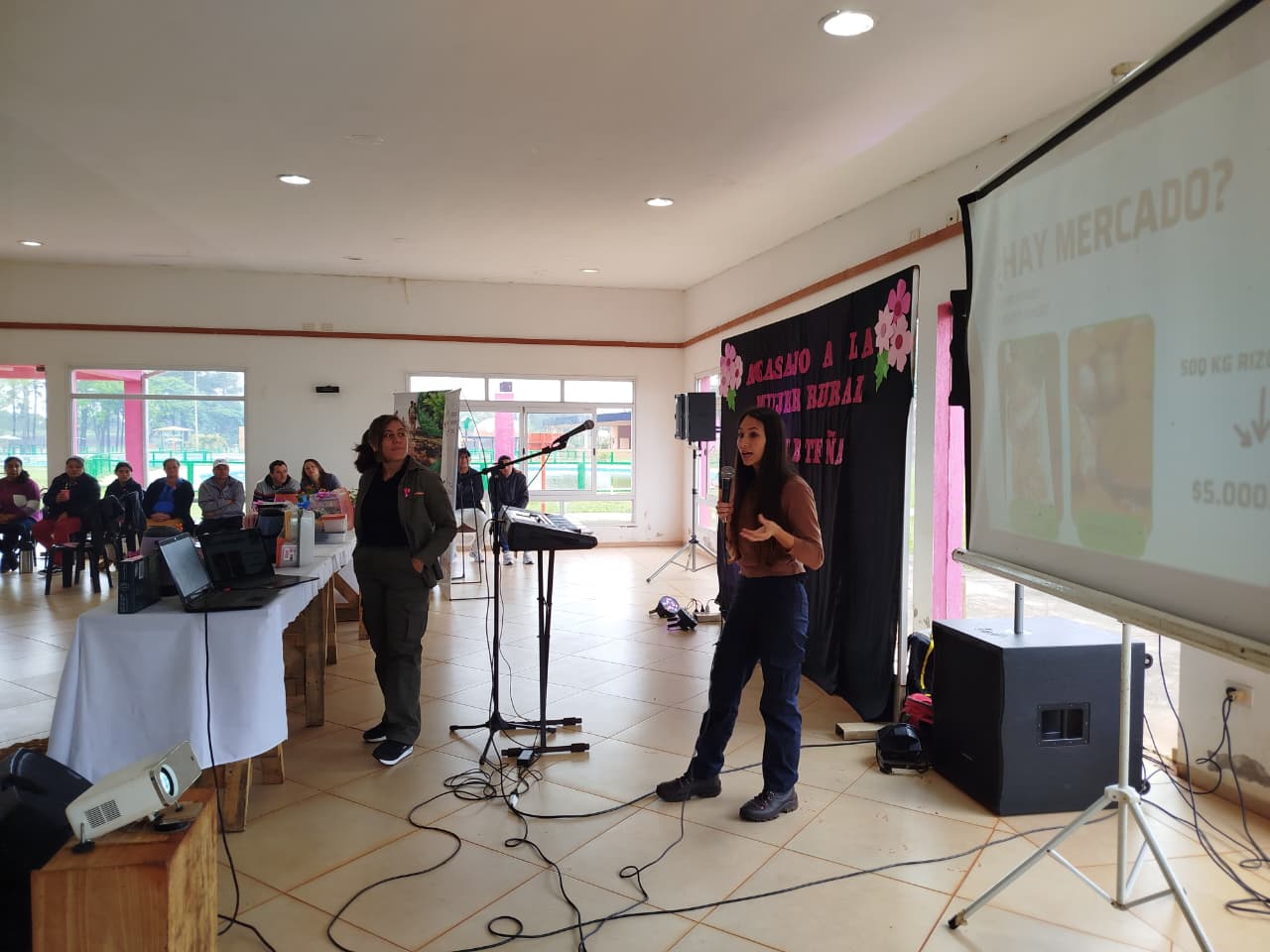 Curcuma 25 Muj 2 - 3