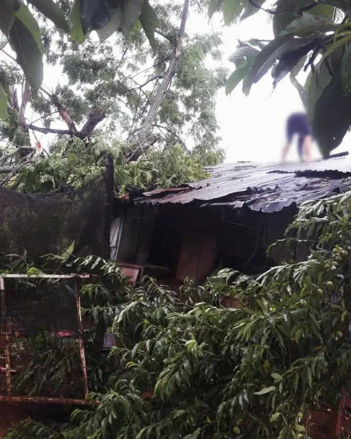 Daños severos, voladuras de techos y cortes de luz tras temporal en 25 de Mayo 4 8 - Danos severos voladuras de techos y cortes de luz tras temporal en 25 de Mayo 3 - 7