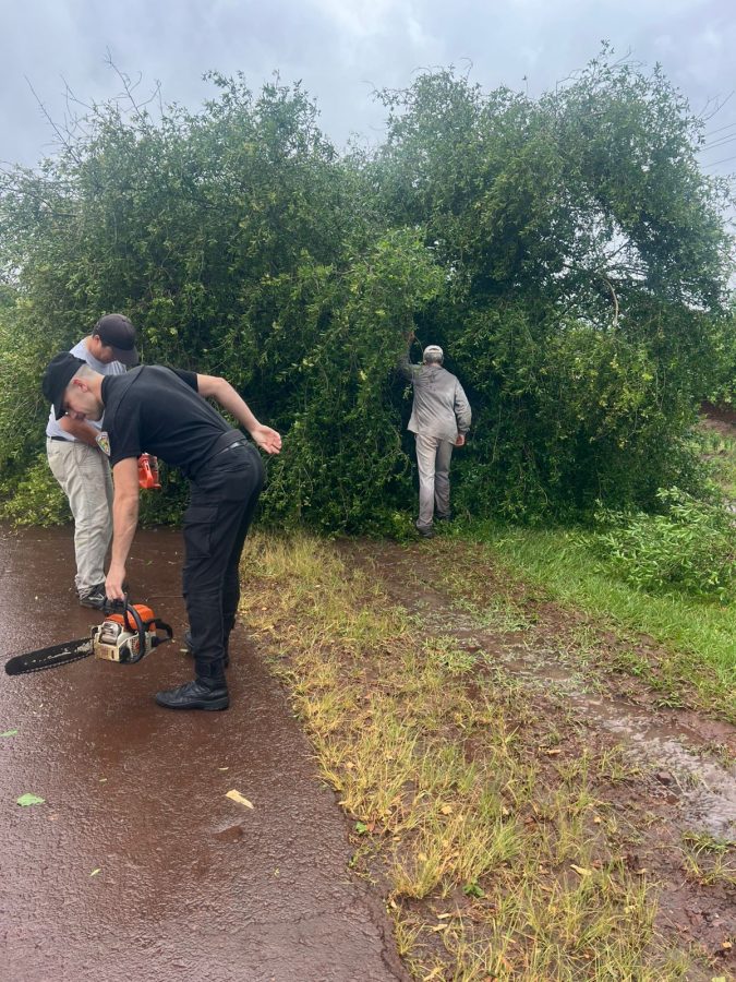 Policías asistieron a familias afectadas por el temporal en Misiones 1 2 - IMG 20251107 WA0062 - 1