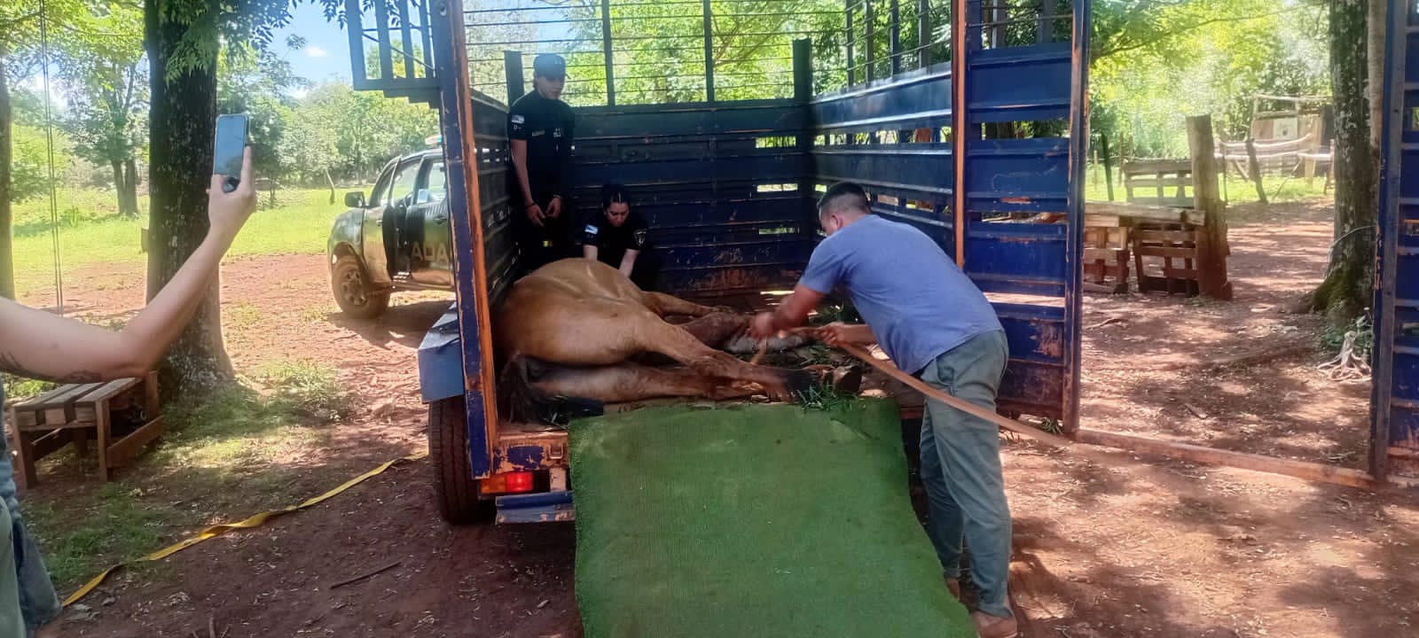 IMG 20251123 WA0031 - 1