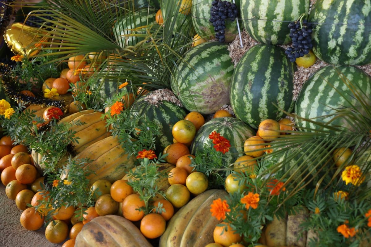 Passalacqua encabezó la apertura de la 8° Fiesta de las Frutas Tropicales en Almafuerte 6 12 - IMG 20251130 WA0015 - 11