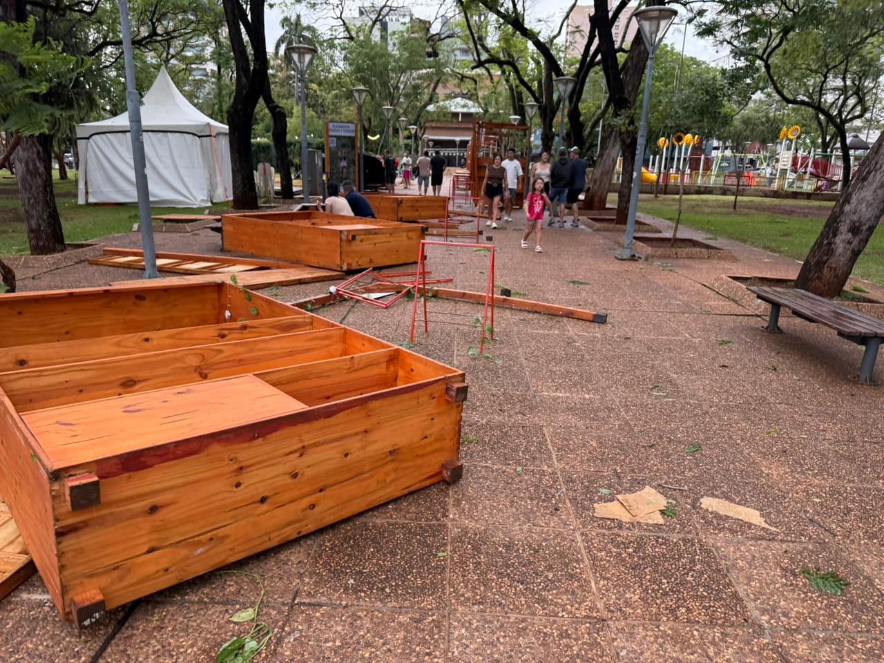 IMG 20251130 WA0067 - 5