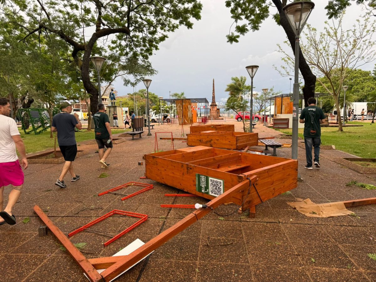 IMG 20251130 WA0068 - 3