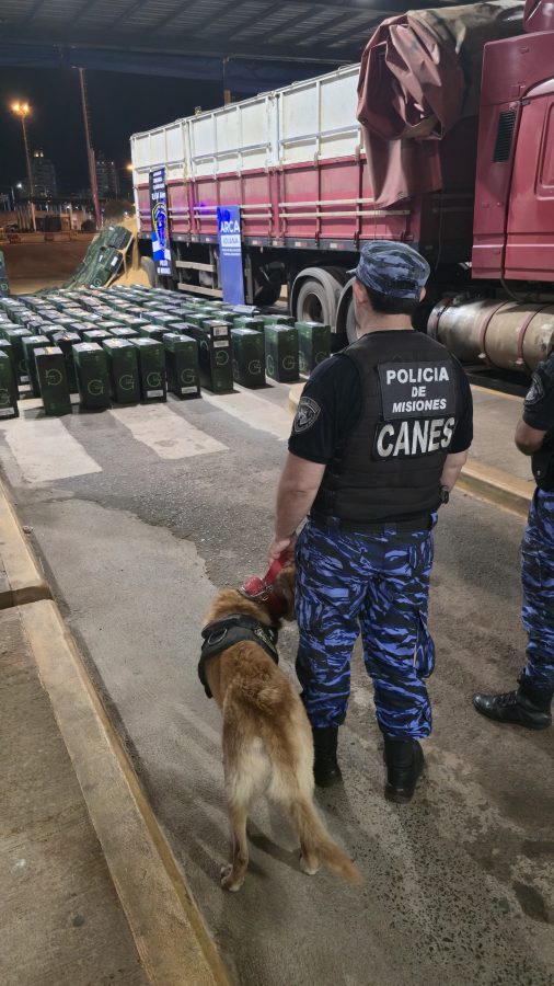 Incautan 100 mil atados de cigarrillos valuados en más de $260 millones sobre la ruta 14 4 8 - Incautan 100 mil atados de cigarrillos valuados en mas de 260 millones sobre la ruta 14 5 - 7