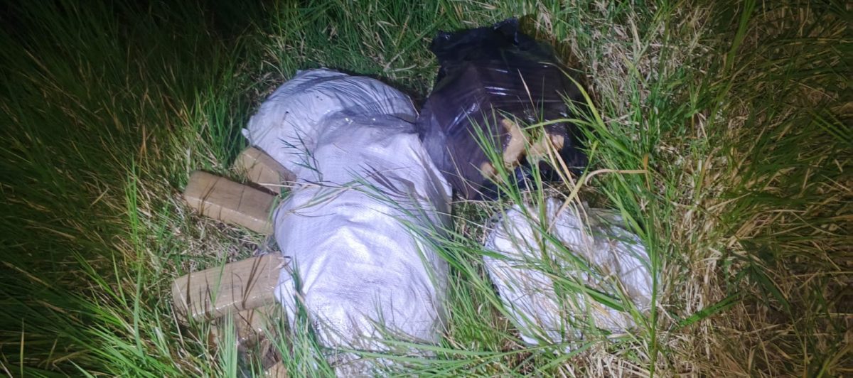 Incautaron 50 kilos de marihuana valuados en 200 millones en Garupa 2 - 1