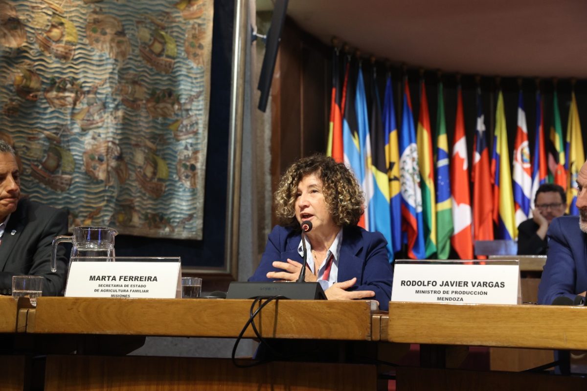 Misiones Cumbre Chile 03 - 1