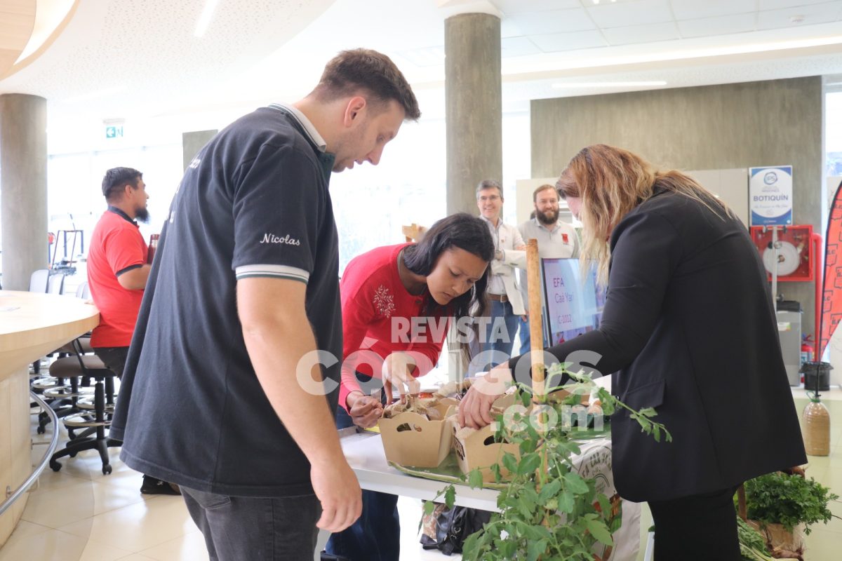Misiones impulsa la innovación y soberanía alimentaria con el programa “Chacras que educan” 2 4 - Misiones impulsa la innovacion y soberania alimentaria con el programa Chacras que educan 13 - 3