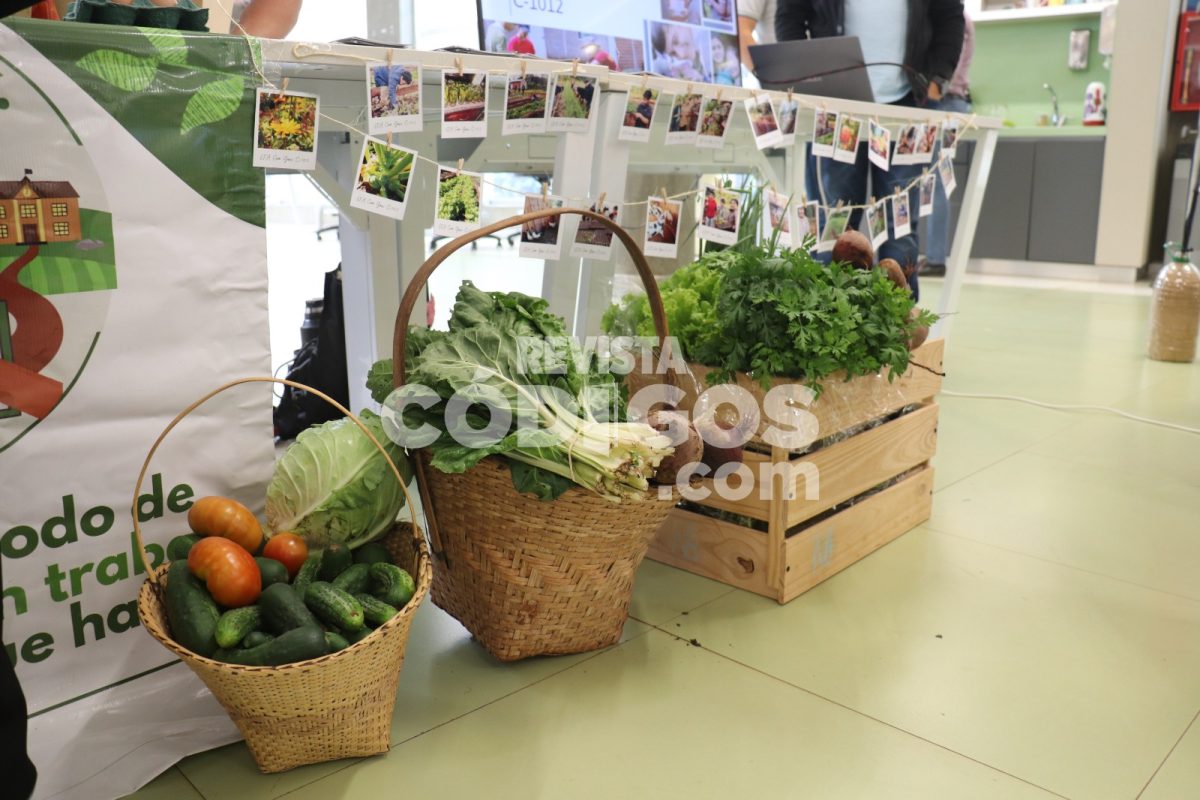 Misiones impulsa la innovación y soberanía alimentaria con el programa “Chacras que educan” 7 14 - Misiones impulsa la innovacion y soberania alimentaria con el programa Chacras que educan 14 - 13