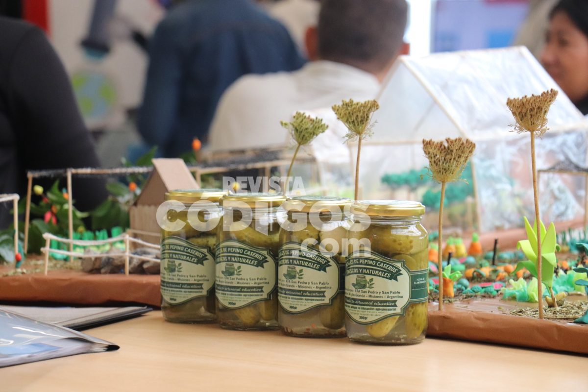 Misiones impulsa la innovación y soberanía alimentaria con el programa “Chacras que educan” 6 12 - Misiones impulsa la innovacion y soberania alimentaria con el programa Chacras que educan 15 - 11