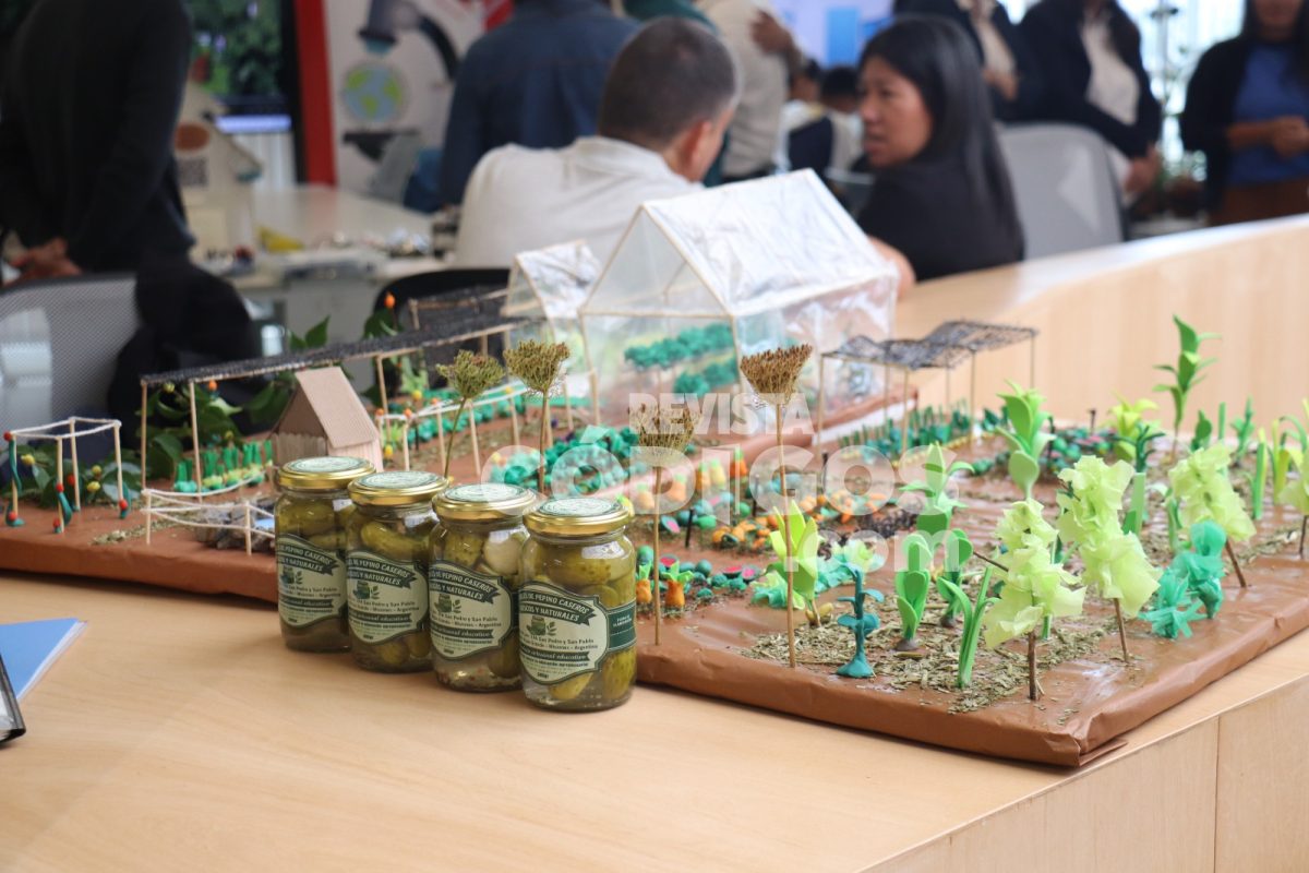 Misiones impulsa la innovación y soberanía alimentaria con el programa “Chacras que educan” 5 10 - Misiones impulsa la innovacion y soberania alimentaria con el programa Chacras que educan 16 - 9