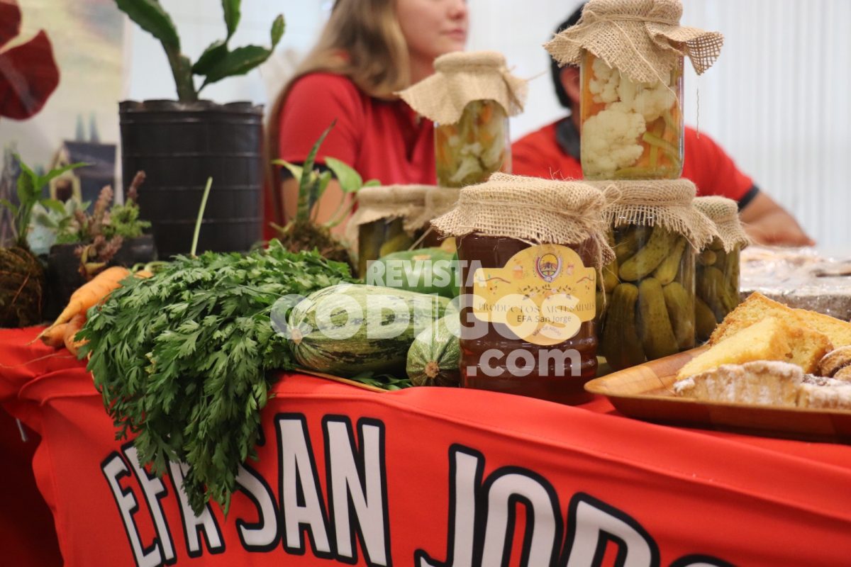Misiones impulsa la innovación y soberanía alimentaria con el programa “Chacras que educan” 16 32 - Misiones impulsa la innovacion y soberania alimentaria con el programa Chacras que educan 3 - 31