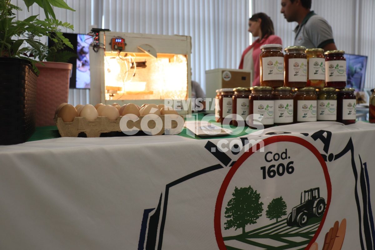 Misiones impulsa la innovación y soberanía alimentaria con el programa “Chacras que educan” 13 26 - Misiones impulsa la innovacion y soberania alimentaria con el programa Chacras que educan 5 - 25