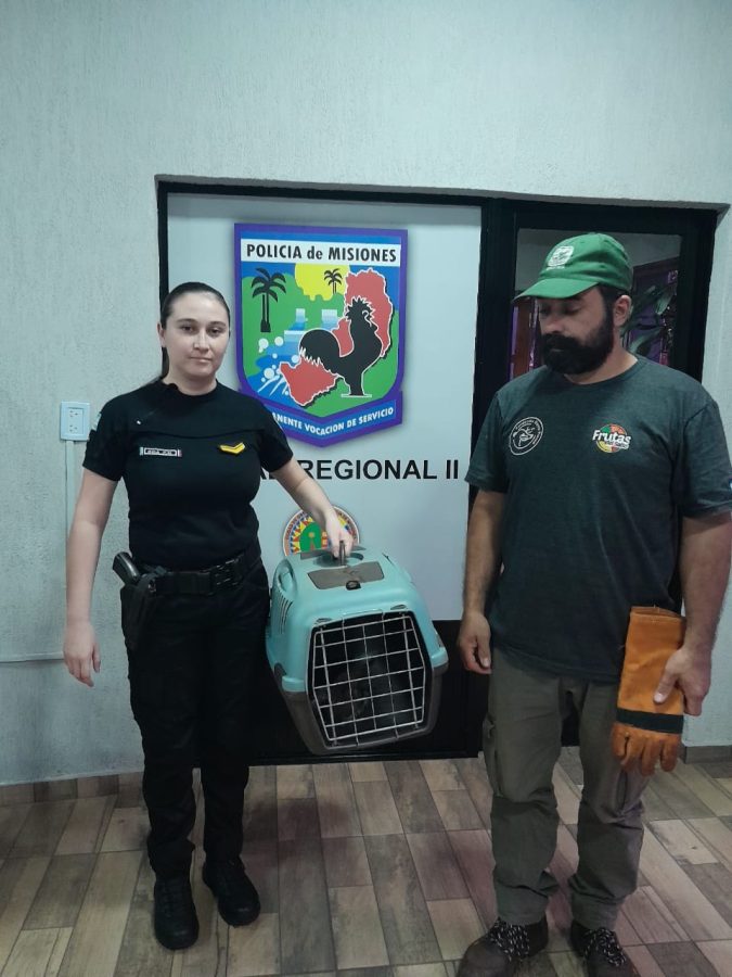 Porteccion animal rescatan aves mediante operativos policiales en distintos puntos de la provincia 1 - 1