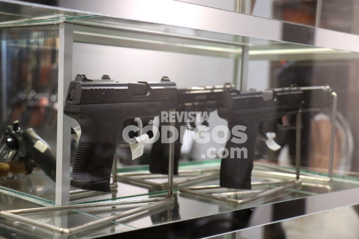 Referente del sector en Posadas asegura que "no cualquiera puede tener un arma en Argentina" 9 18 - Referente del sector en Posadas asegura que no cualquiera puede tener un arma en Argentina 11 - 17