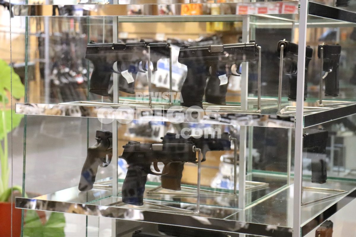 Referente del sector en Posadas asegura que "no cualquiera puede tener un arma en Argentina" 12 24 - Referente del sector en Posadas asegura que no cualquiera puede tener un arma en Argentina 14 - 23