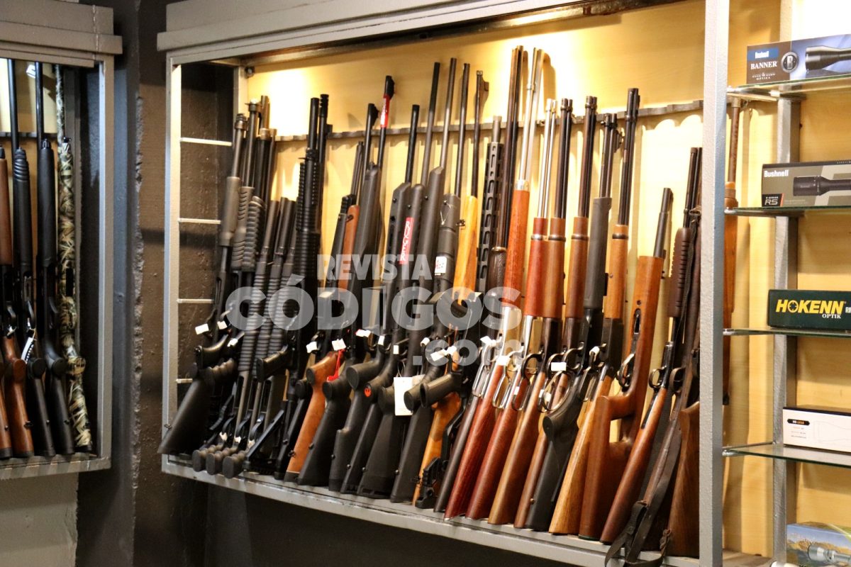 Referente del sector en Posadas asegura que "no cualquiera puede tener un arma en Argentina" 2 4 - Referente del sector en Posadas asegura que no cualquiera puede tener un arma en Argentina 8 - 3