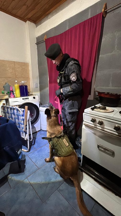 Desmantelaron kiosco narco en Aristóbulo: hay un detenido 1 2 - WhatsApp Image 2025 11 01 at 11.54.24 - 1