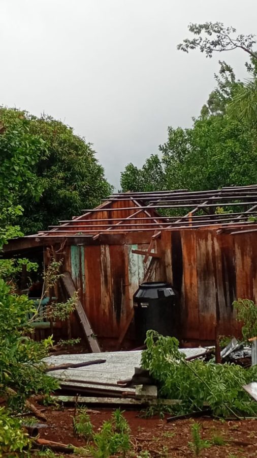 WhatsApp Image 2025 11 08 at 08.33.06 - 1