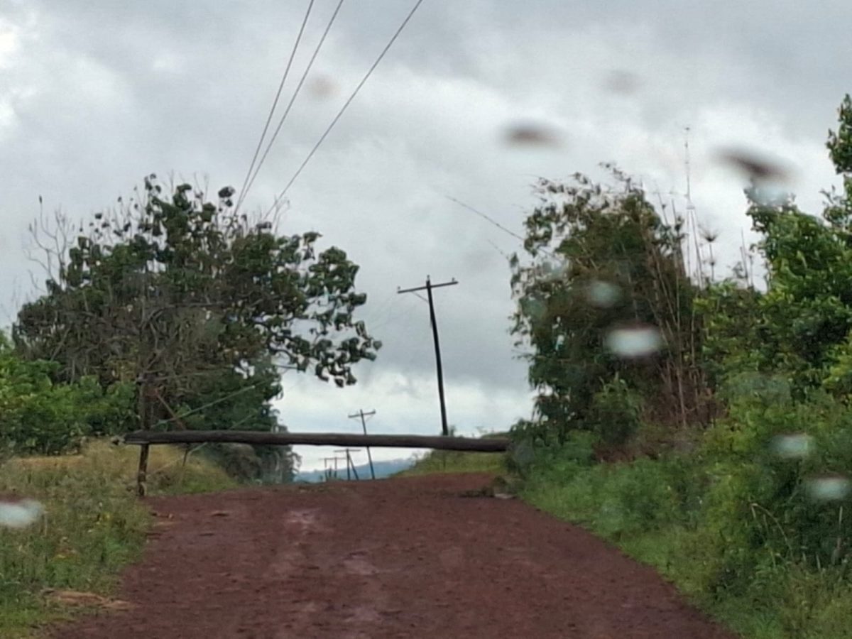 WhatsApp Image 2025 11 08 at 08.33.07 - 3