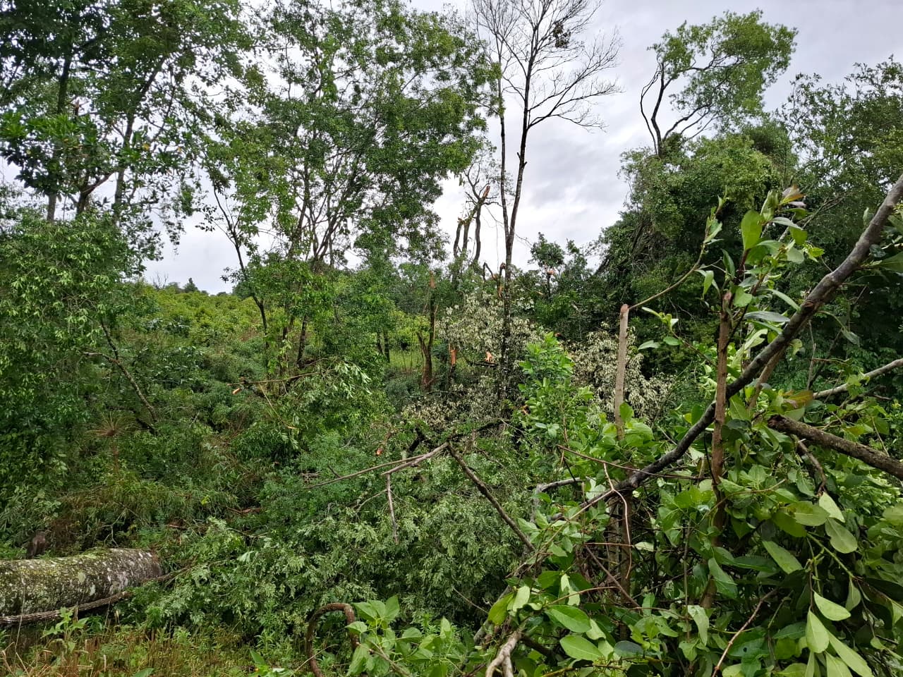 WhatsApp Image 2025 11 08 at 08.33.09 1 - 9