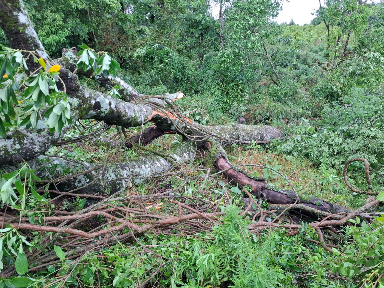 WhatsApp Image 2025 11 08 at 08.33.09 - 7