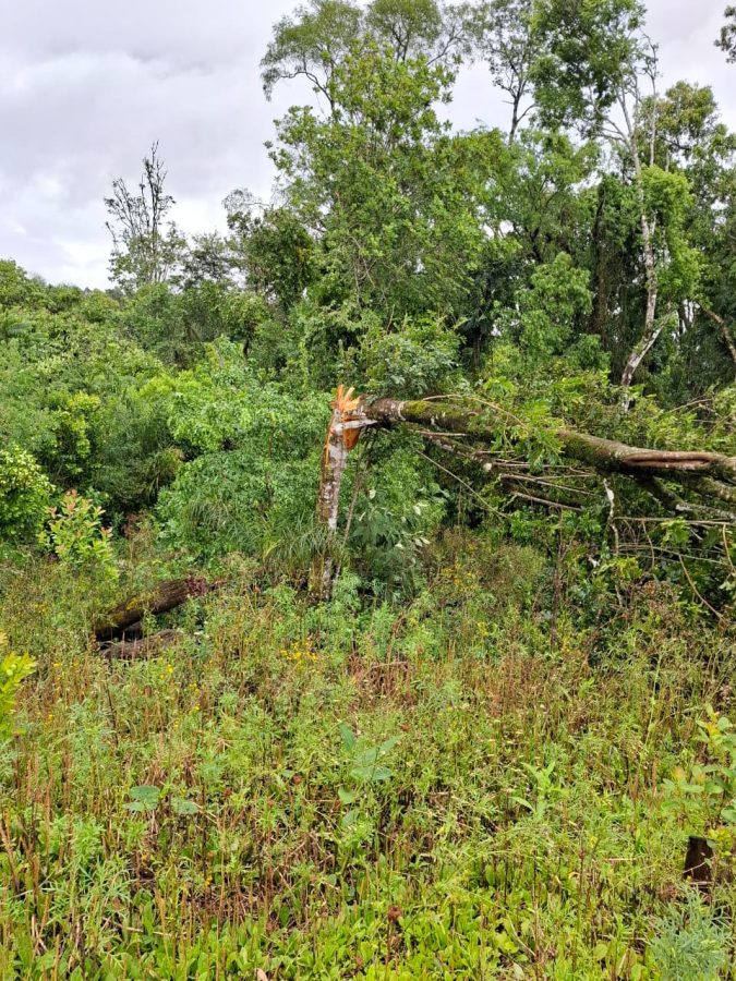 WhatsApp Image 2025 11 08 at 08.33.13 - 11