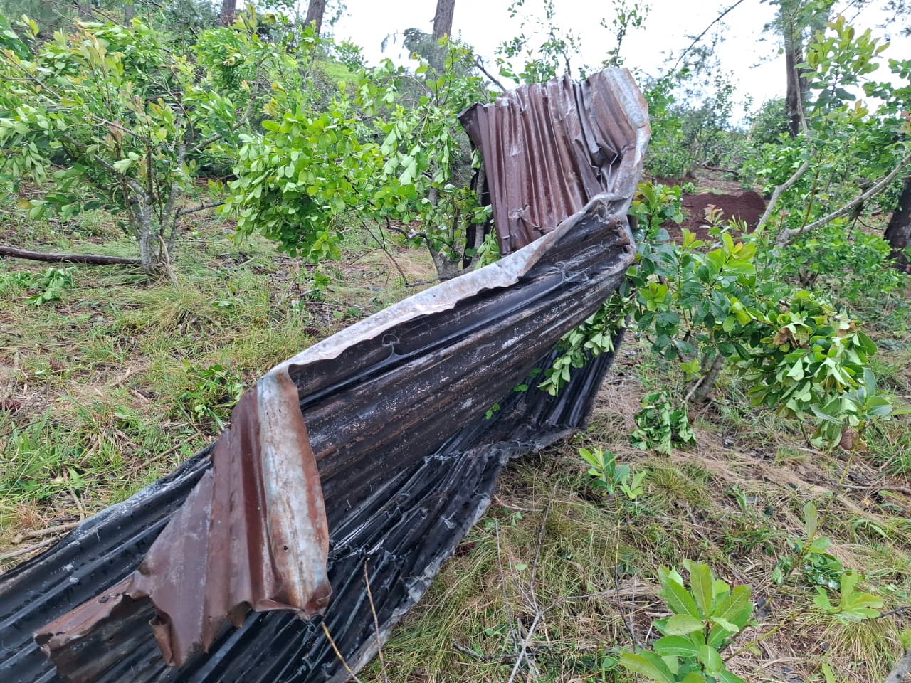 WhatsApp Image 2025 11 08 at 08.33.16 - 13