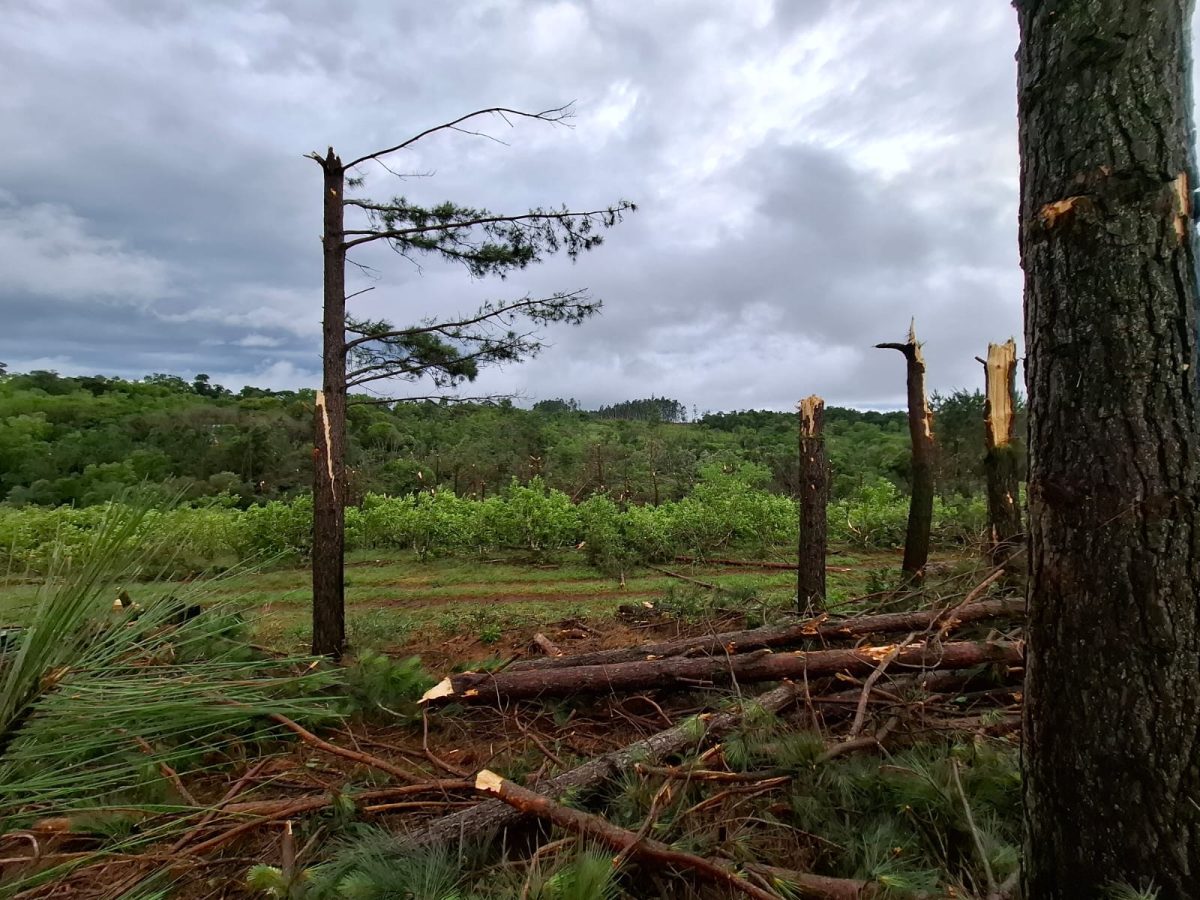 WhatsApp Image 2025 11 08 at 08.33.23 - 15