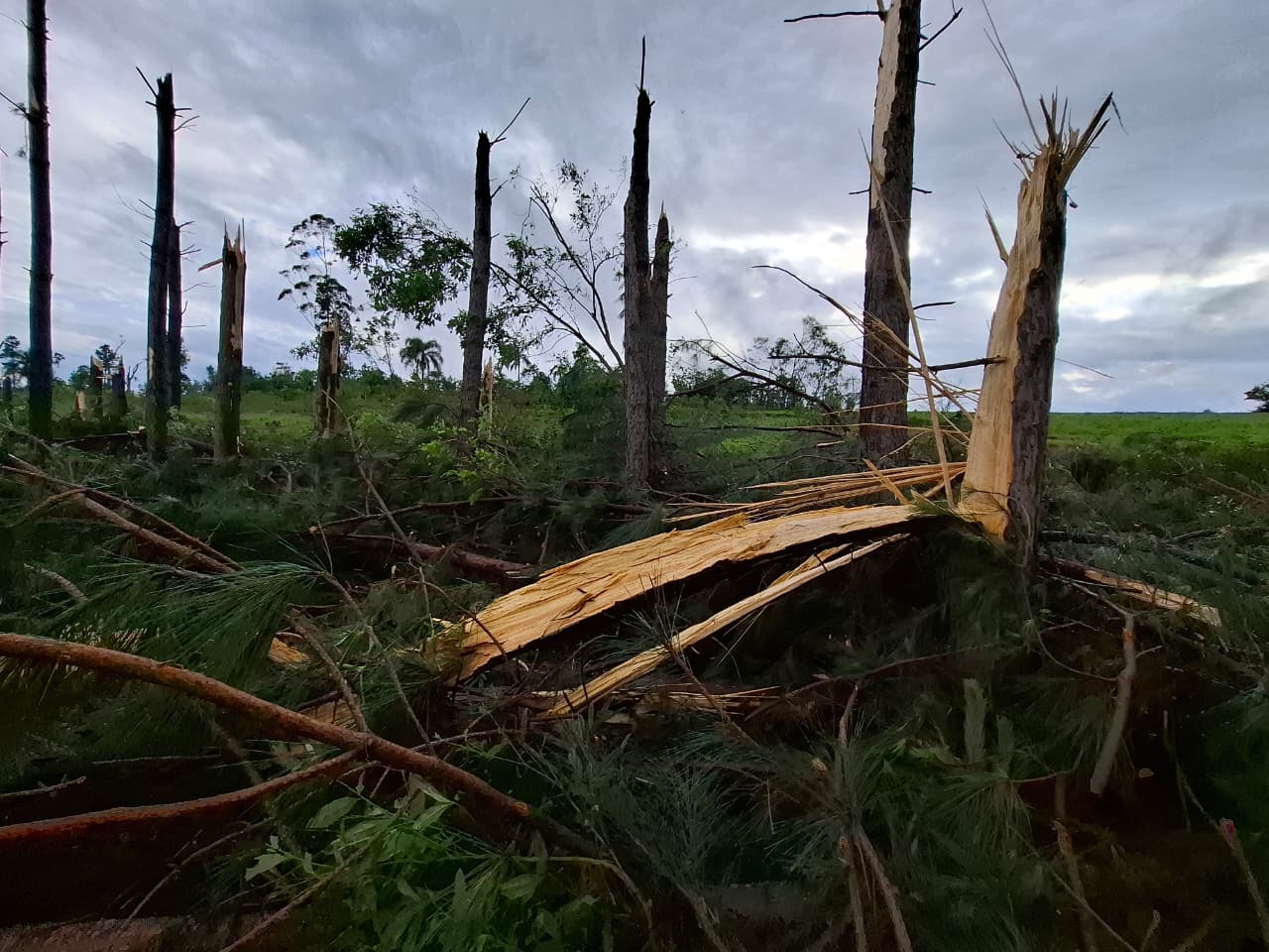 WhatsApp Image 2025 11 08 at 08.33.25 - 17