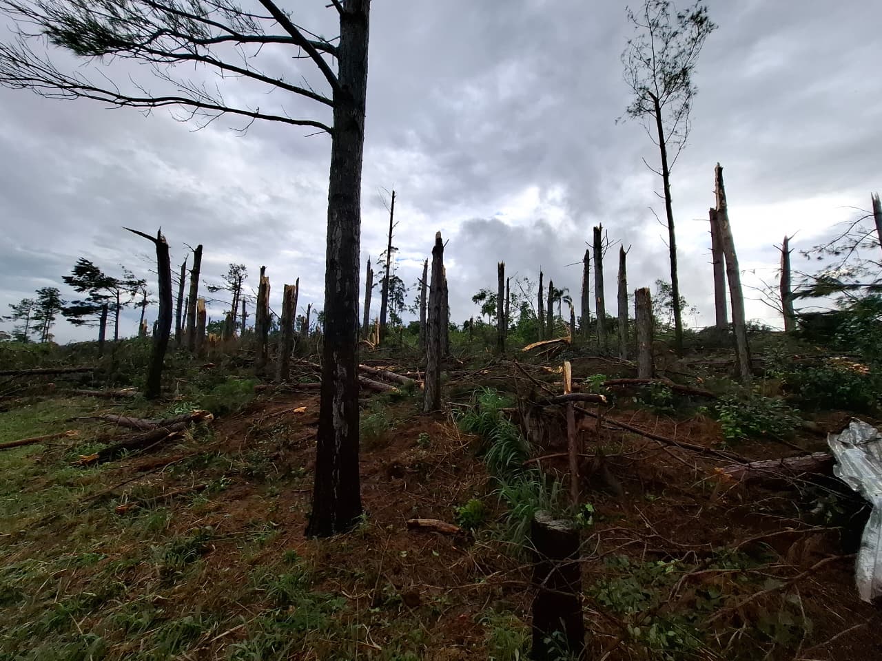 WhatsApp Image 2025 11 08 at 08.33.26 1 - 21