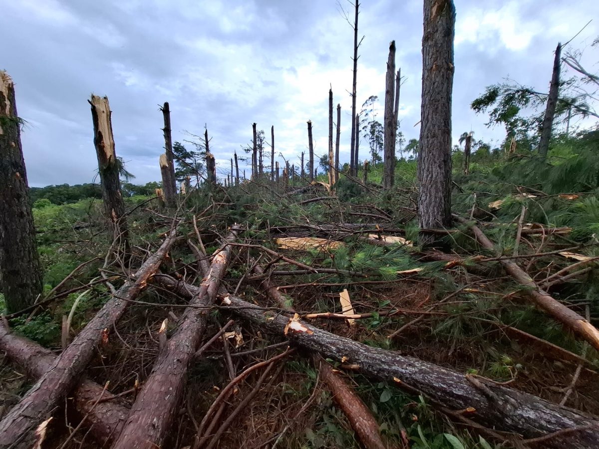 WhatsApp Image 2025 11 08 at 08.33.26 - 19