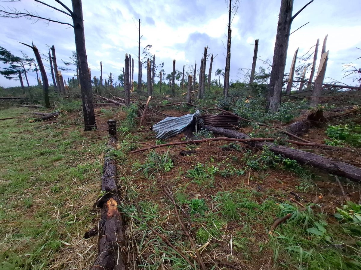 WhatsApp Image 2025 11 08 at 08.33.27 - 23