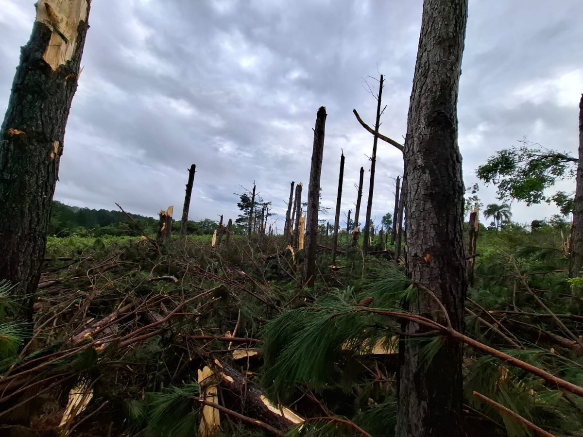 WhatsApp Image 2025 11 08 at 08.33.30 - 27