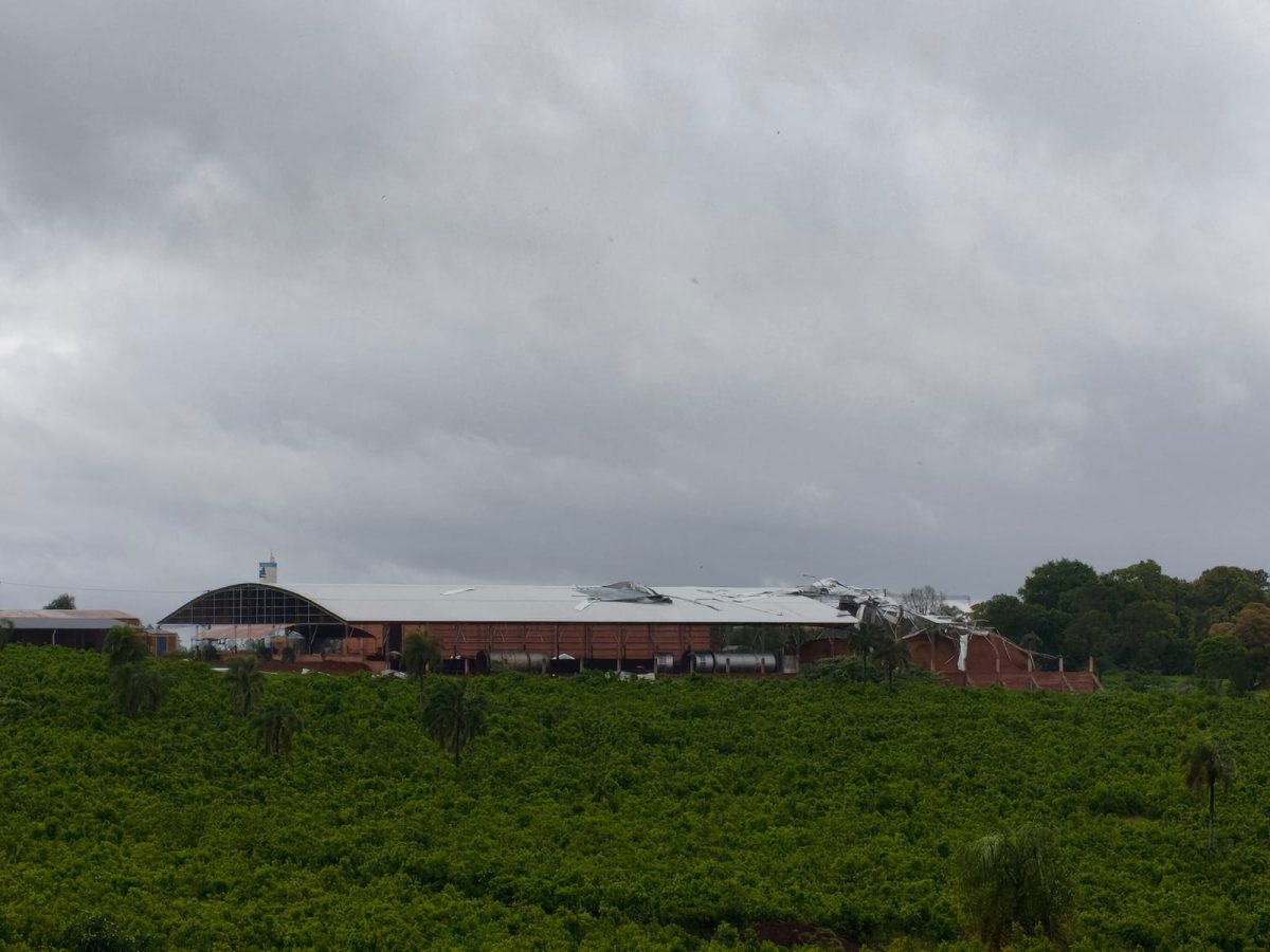 WhatsApp Image 2025 11 08 at 08.33.38 - 29