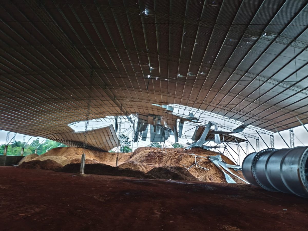 WhatsApp Image 2025 11 08 at 08.33.40 - 33