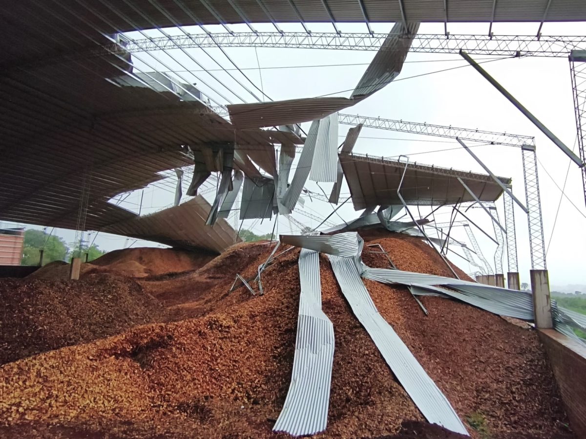 WhatsApp Image 2025 11 08 at 08.33.47 - 35