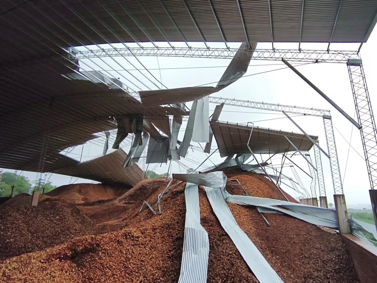 WhatsApp Image 2025 11 08 at 08.33.49 - 37