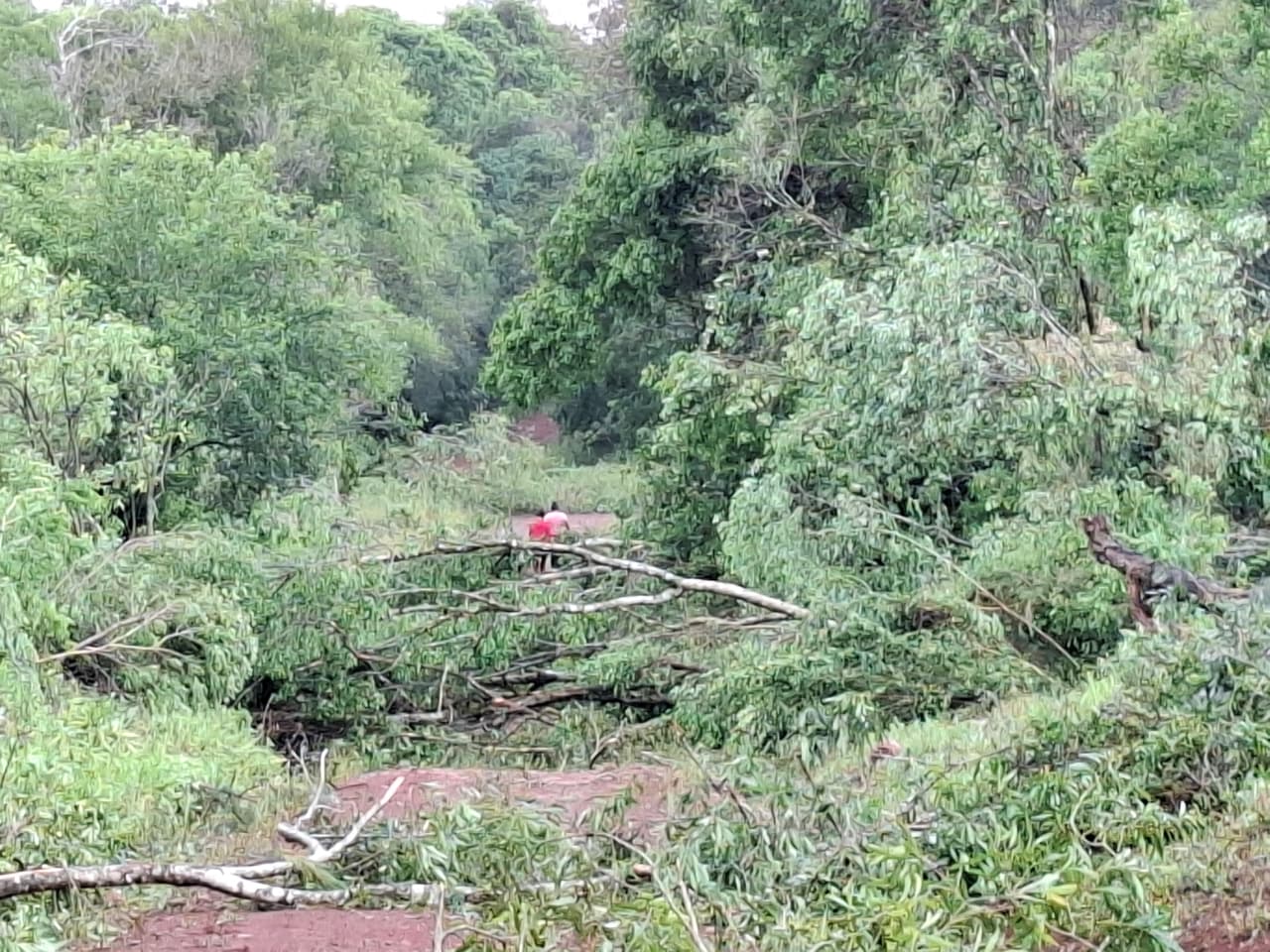 WhatsApp Image 2025 11 08 at 08.34.02 - 41