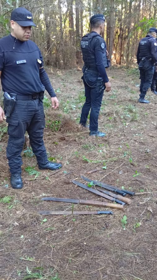 WhatsApp Image 2025 11 10 at 09.25.26 - 5