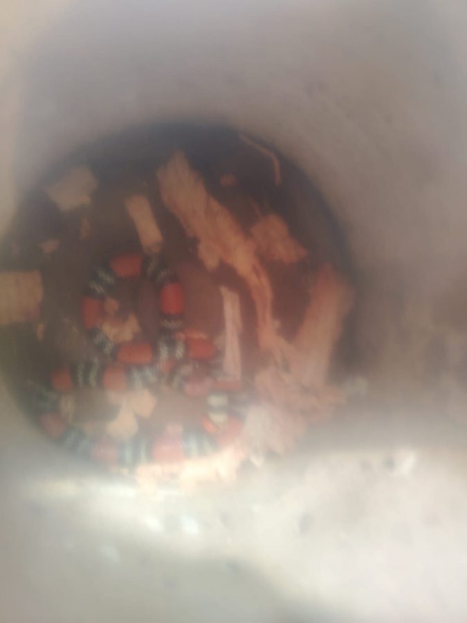 WhatsApp Image 2025 11 19 at 11.20.38 1 - 5