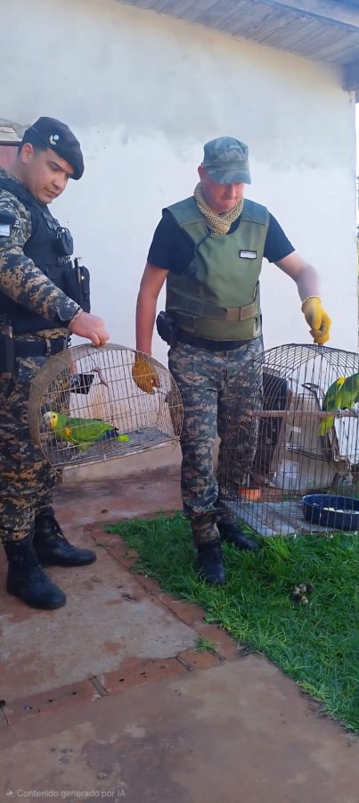 WhatsApp Image 2025 11 19 at 11.20.38 - 7