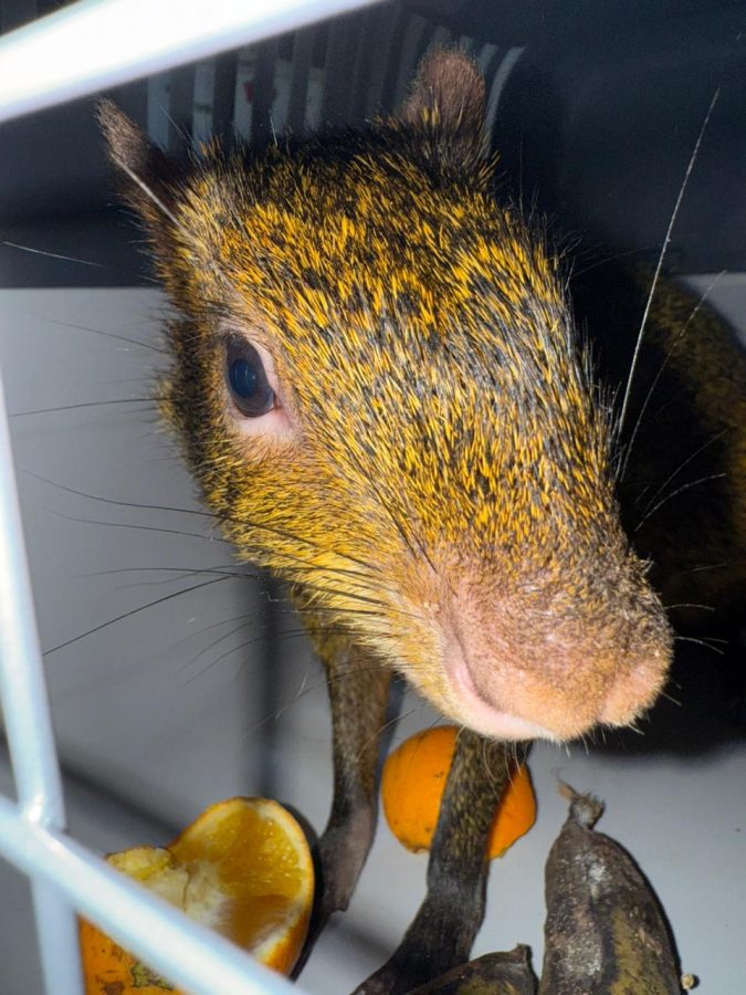 WhatsApp Image 2025 11 19 at 11.20.39 - 3