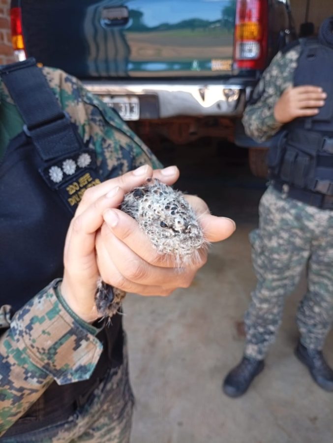 WhatsApp Image 2025 11 19 at 11.20.40 - 1